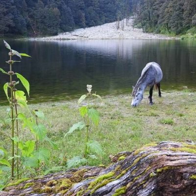 Dodital Lake Uttarakhand